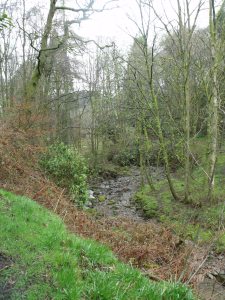 DSCF1164