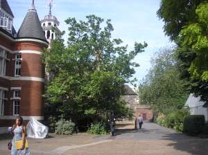 OLYMPUS DIGITAL CAMERA