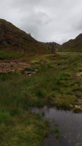 IMG_20160807_131404973