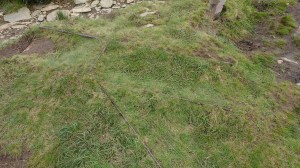 IMG_20160807_131413380