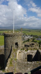 IMG_20160809_114015434