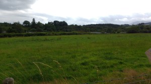 IMG_20160809_171255565