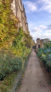 img_20161111_085750310_hdr