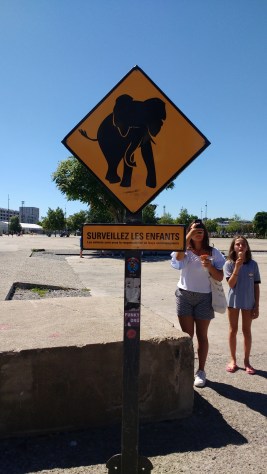 IMG_20170821_150939262