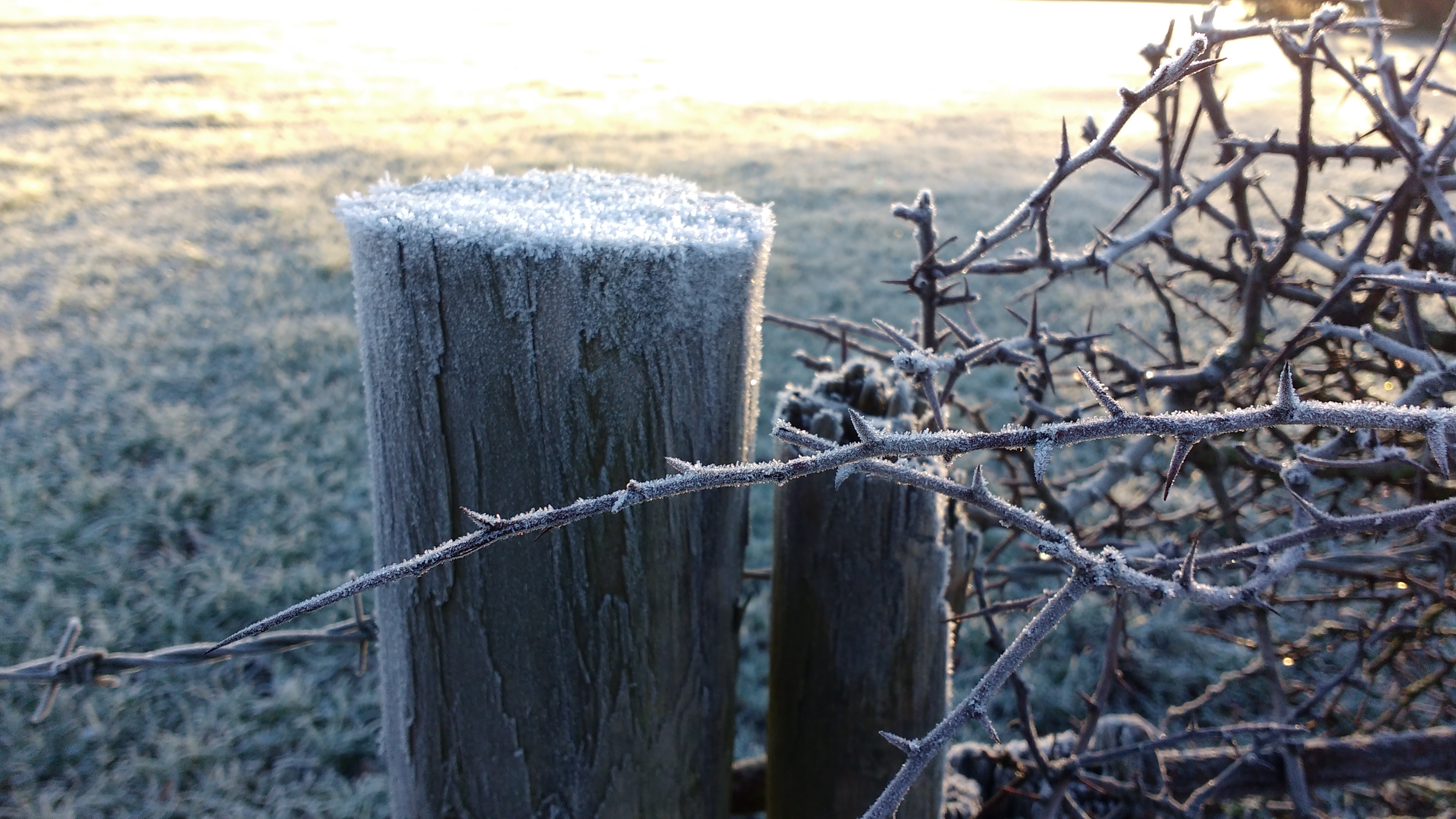 IMG_20180207_084422062