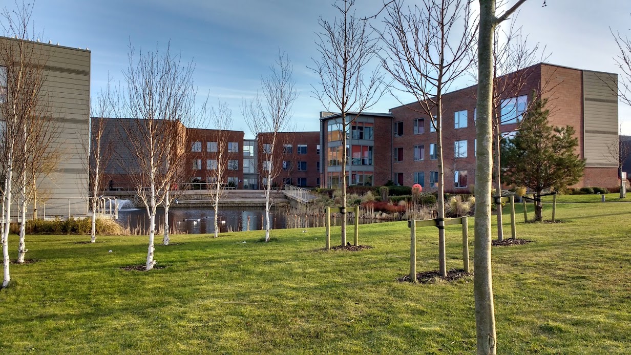 IMG_20180216_085438655_HDR