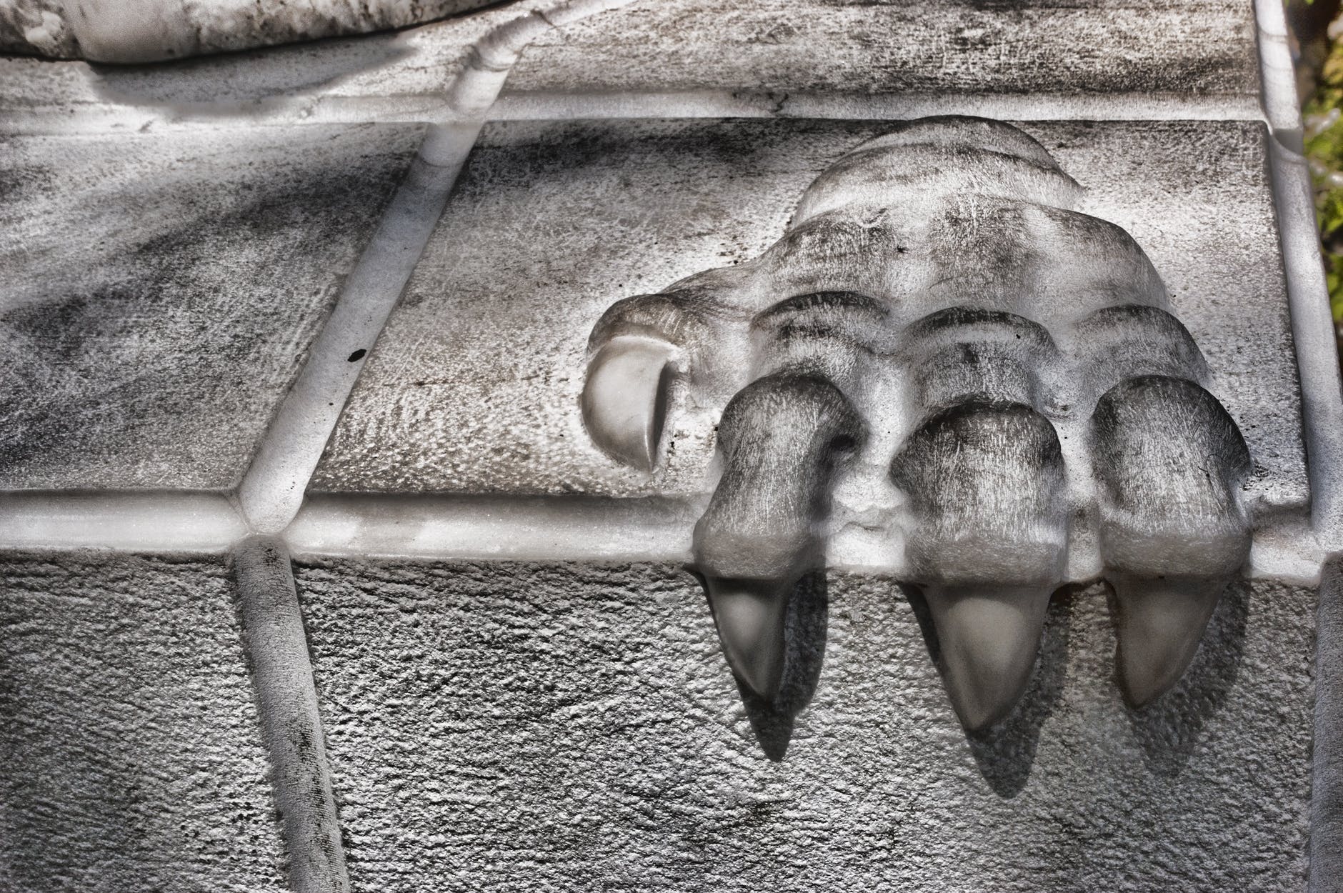 ancient animal antique architecture